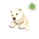 The Polar Pal