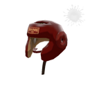 Unusual Pugilist's Protector