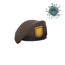 Bill's Hat