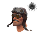 The Barnstormer