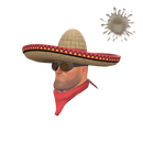 Strange Wide-Brimmed Bandito