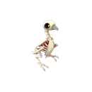 Haunted Carrion Companion
