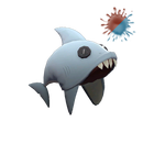 The Cranial Carcharodon