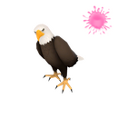 Private Maggot Muncher