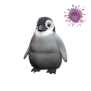 Pebbles the Penguin