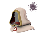 Моццетта монаха