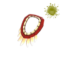 The Tribal Bones