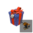 A Carefully Wrapped Gift