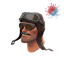 The Barnstormer