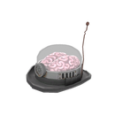 Гипербарический котелок призрачного вида