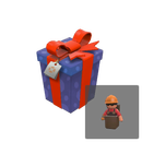 A Carefully Wrapped Gift
