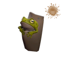 Tropical Toad