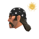 Unusual Highway Star