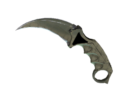 ★ StatTrak™ Karambit | Safari Mesh (Well-Worn)