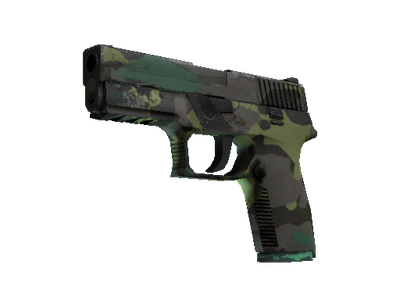 P250 | Boreal Forest (Field-Tested)