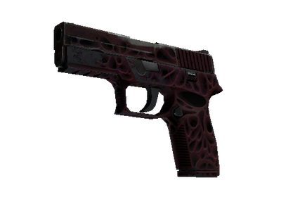 P250 | Contaminant (Field-Tested)