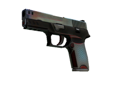 P250 | Cyber Shell (Field-Tested)