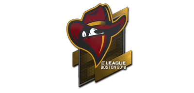 Sticker | Renegades | Boston 2018