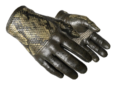 ★ Driver Gloves | Diamondback (Field-Tested)