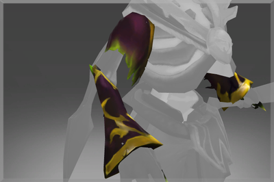 Inscribed Sleeves of the Narcissistic Leech