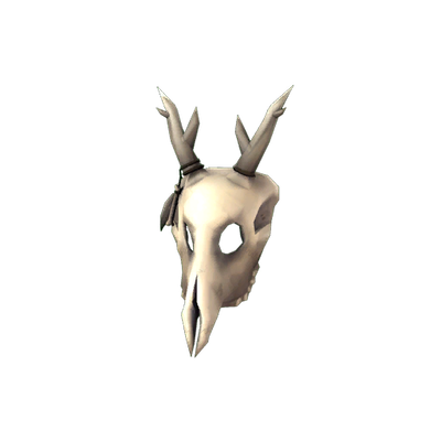 The Shaman's Skull