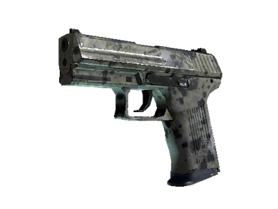 P2000 | Granite Marbleized (Field-Tested)