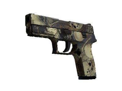P250 | Contamination (Field-Tested)