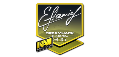 Sticker | flamie | Cluj-Napoca 2015