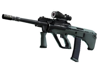 Souvenir AUG | Storm (Well-Worn)