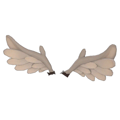 The Wings of Purity